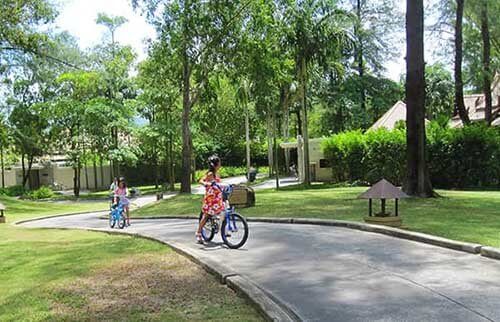 バンヤンツリーで自転車に乗る子供たち