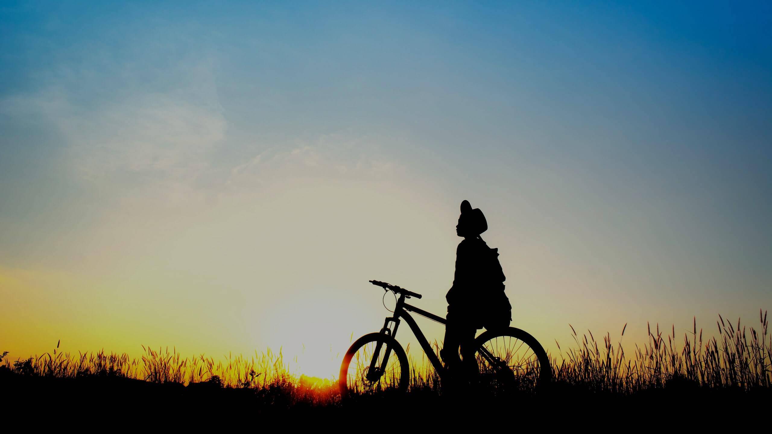 夕日の中、地平線を見つめる女性